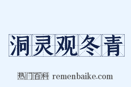 洞灵观冬青是什么意思的图片